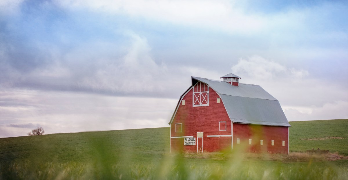 A quarter of America’s “farms” aren’t really farms