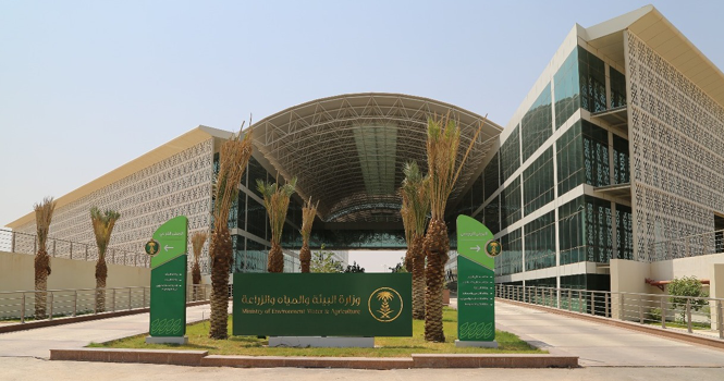 ‎Saudi agri-food output exceeds 16m tons in 2024: MEWA