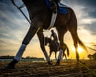 My friend Pancho’s long life is a gift. Most racehorses never get that chance | Elizabeth Banicki