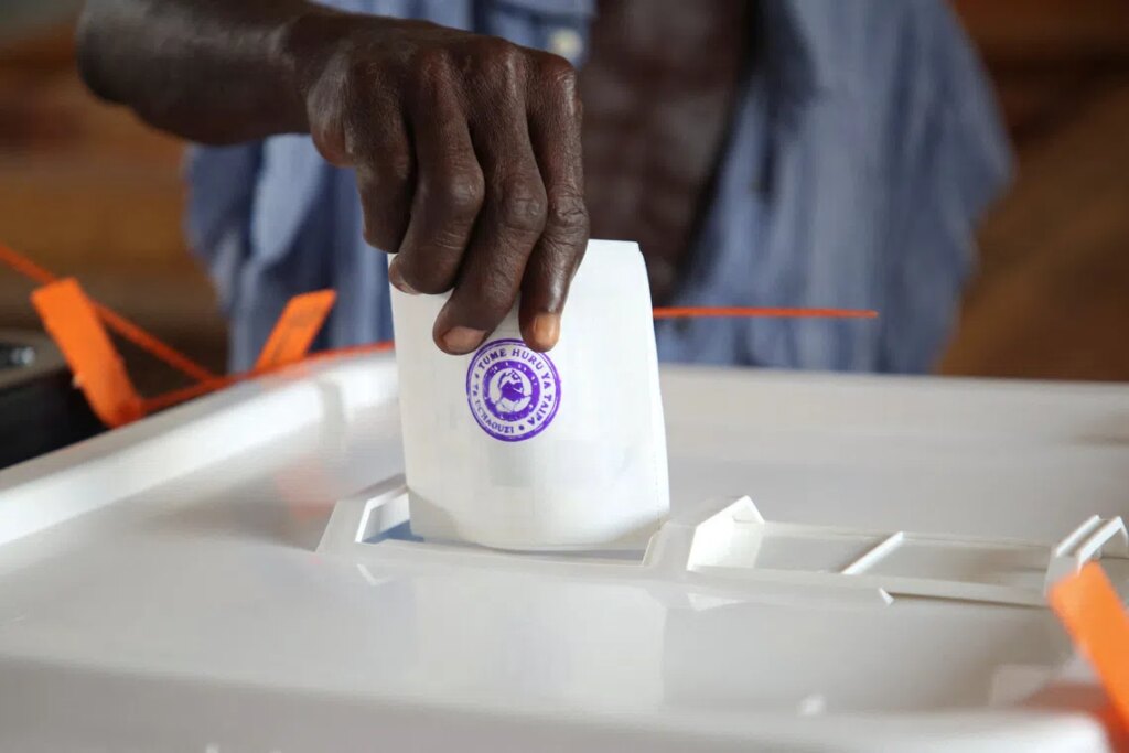 Tanzania vote violated democratic values, AU observers say