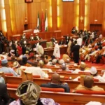 Senate Passes Second Reading of Nigeria’s Electric Vehicle Transition Bill