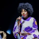 Chimamanda Adichie Wins a Mermaid Award — What is it About?