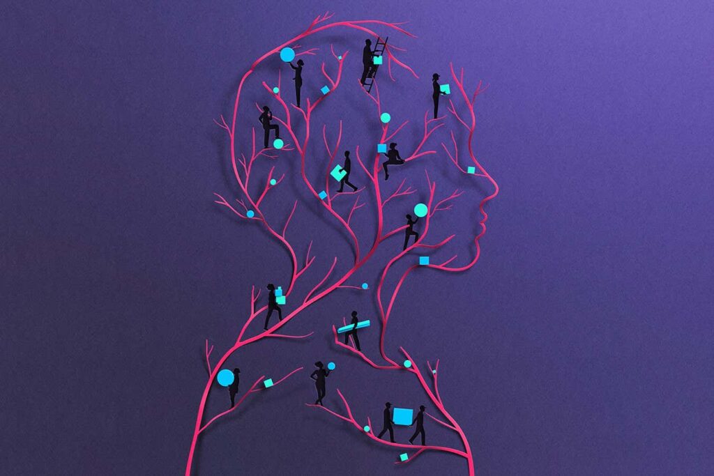 The extraordinary influence of the lymphatic system on our health