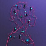 The extraordinary influence of the lymphatic system on our health