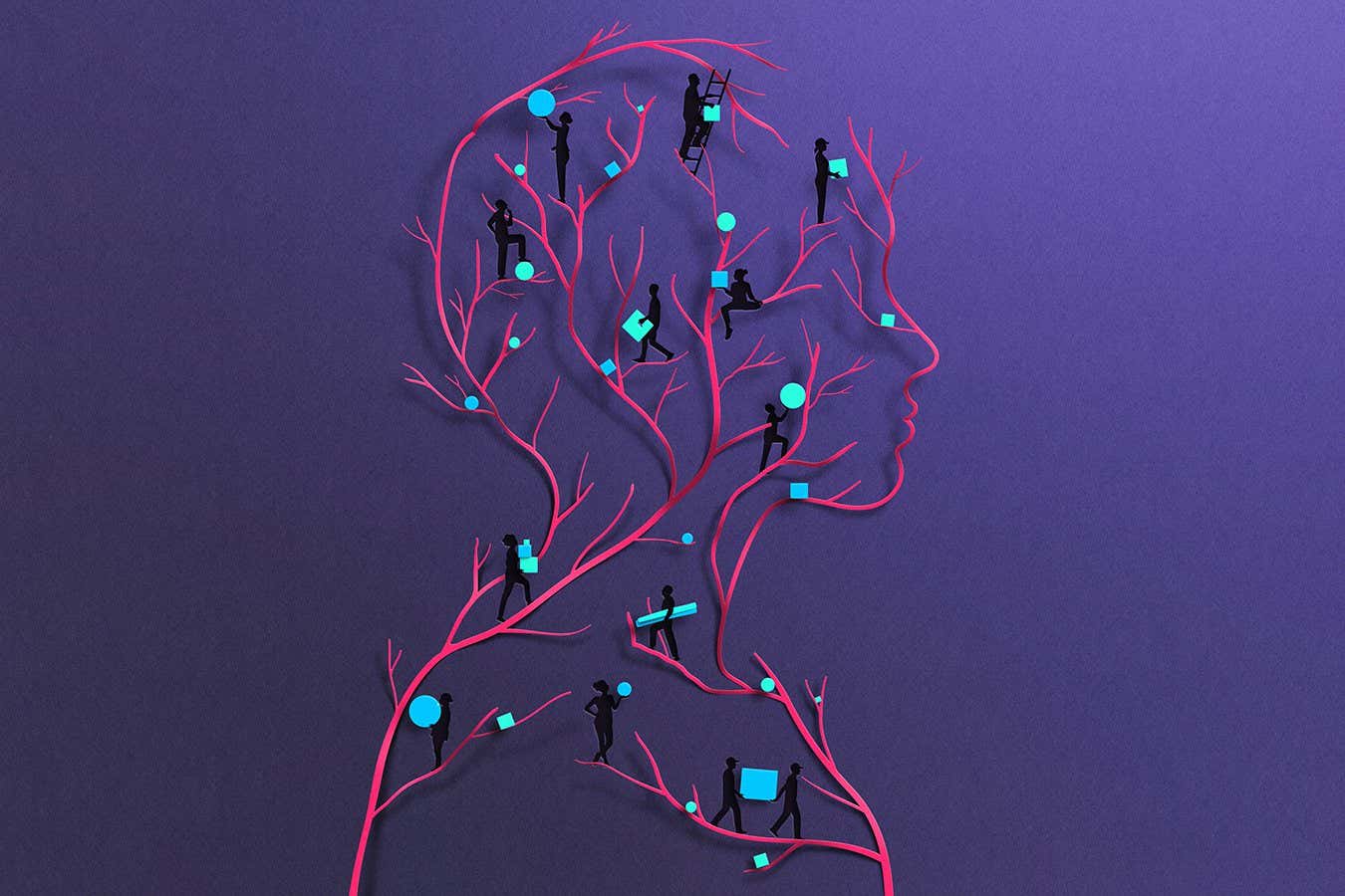 The extraordinary influence of the lymphatic system on our health