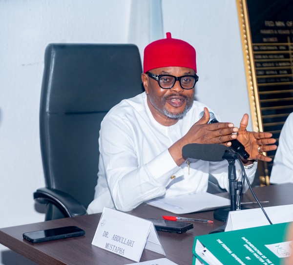 BREAKING: Tinubu’s Minister, Uche Nnaji, Resigns Amid Certificate Forgery Scandal