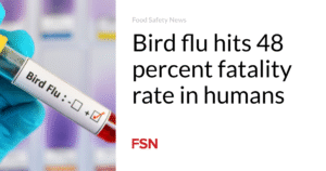 Bird flu hits 48 percent fatality rate in humans