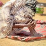 Sudan: RSF Accepts Quartet Ceasefire Terms As Sudan’s Army Digs in