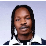 Naira Marley ‘attacked’ on stage in Cotonou over Mohbad’s death