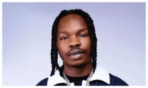 Naira Marley ‘attacked’ on stage in Cotonou over Mohbad’s death