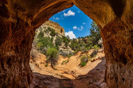 Recording a +27% Surge in Demand for Autumn Stays, HomeToGo Releases Fall Travel Report Alongside U.S. Leaf Peeping Index