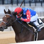 Aqueduct, Churchill Downs, Woodbine offer weekend graded stakes action