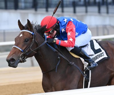 Aqueduct, Churchill Downs, Woodbine offer weekend graded stakes action