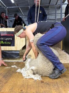 Woman shears 502 merino lambs in nine hours to claim world record