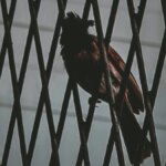 Diddy Prison and Parole Details Emerge (And Freak-Offs Are Probably Off the Table — At Least Until Further Notice)