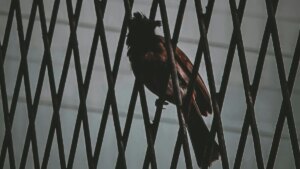 Diddy Prison and Parole Details Emerge (And Freak-Offs Are Probably Off the Table — At Least Until Further Notice)