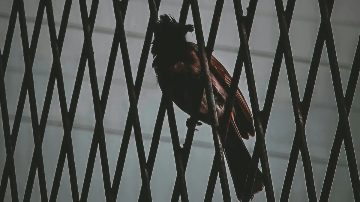 Diddy Prison and Parole Details Emerge (And Freak-Offs Are Probably Off the Table — At Least Until Further Notice)