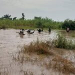 Dozens killed as Boko Haram, ISWAP fighters clash in Lake Chad region