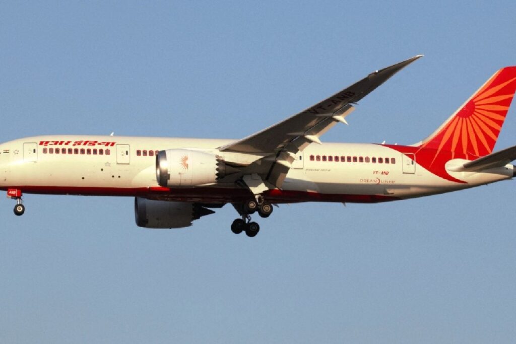 Cockroach Found In Air India ‘Hanged Until Death’: Flight Logbook Entry Gets Witty Reactions