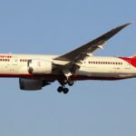 Cockroach Found In Air India ‘Hanged Until Death’: Flight Logbook Entry Gets Witty Reactions