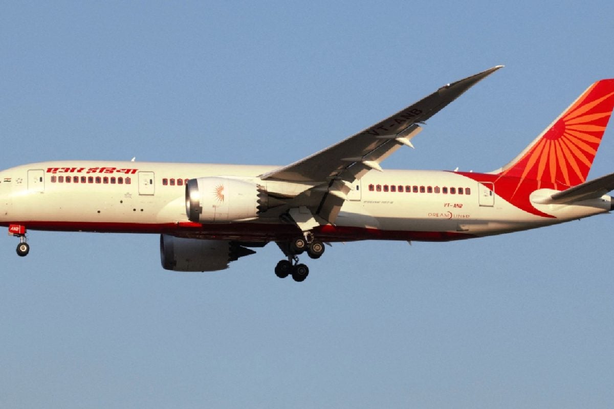 Cockroach Found In Air India ‘Hanged Until Death’: Flight Logbook Entry Gets Witty Reactions