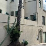 Bombshell new probe launched into death of teen found in singer D4vd’s Tesla