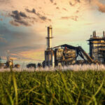 Mpumalanga sugar industry threatened by 400% surge in Brazilian imports