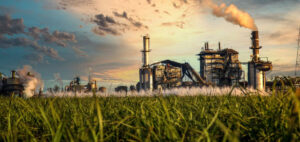 Mpumalanga sugar industry threatened by 400% surge in Brazilian imports