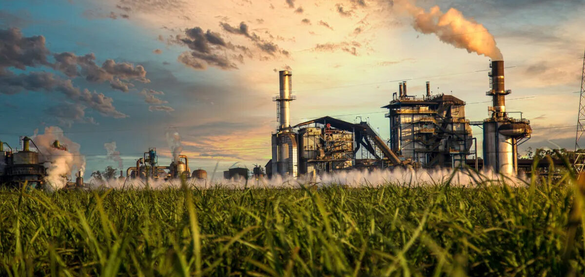 Mpumalanga sugar industry threatened by 400% surge in Brazilian imports