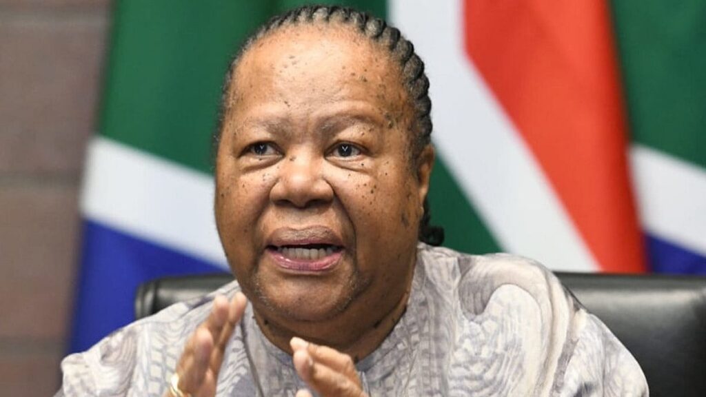 Naledi Pandor’s foreign policy undermines South Africa’s global credibility: Kenneth Kgwadi