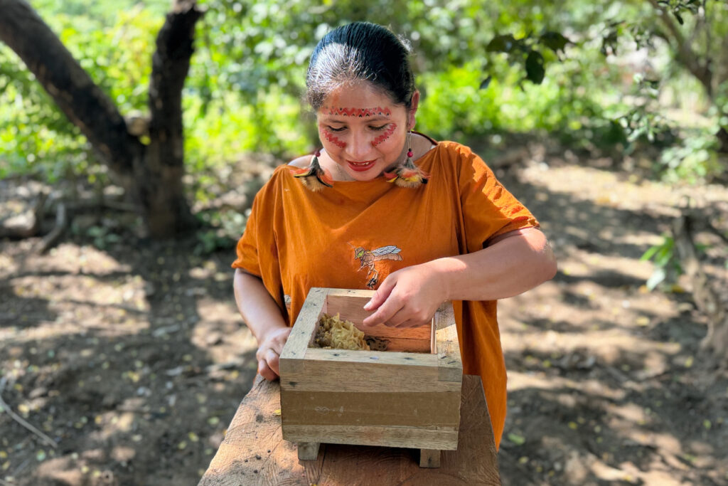 Defending Stingless Bees in the Peruvian Amazon