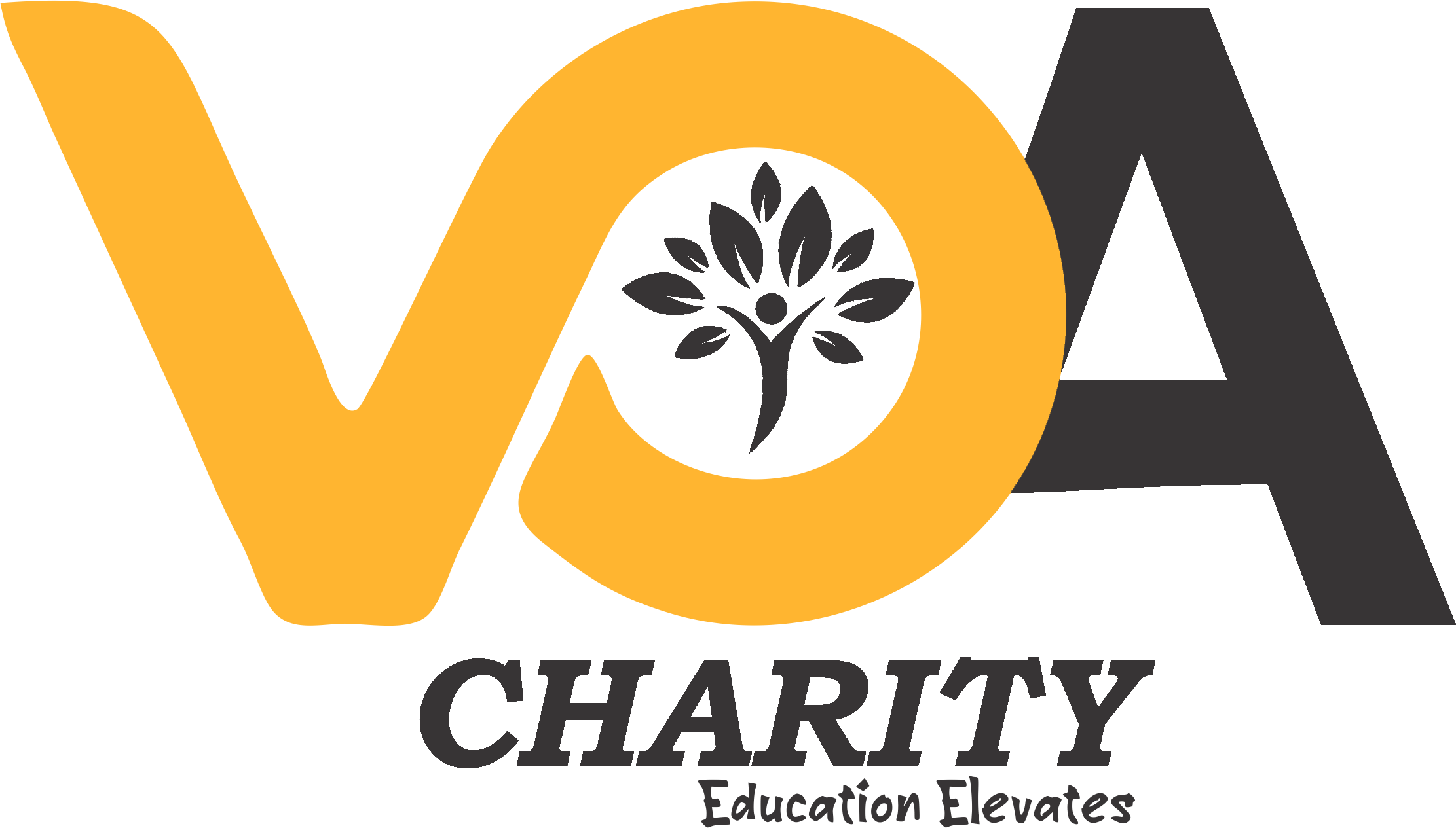VOA To Raise N100m For Scholarship Opportunities