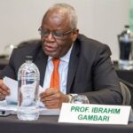 UN Still Relevant Despite Deficiencies – Gambari