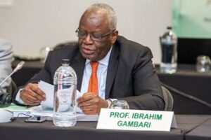 UN Still Relevant Despite Deficiencies – Gambari