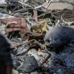 From Trump, With Impunity