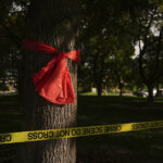 ‘The American spirit will choose light.’ Why civility matters even more now.