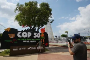 COP30 climate finance pledges critical
