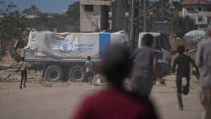 Australia news LIVE: International Court of Justice says Israel obliged to allow aid into Gaza; Hanson brushes off rumours Joyce to lead One Nation