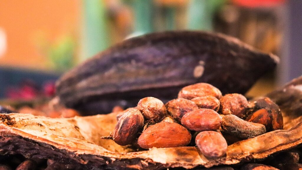 Cocoa Prices Undercut by Possible US Tariff Cuts and Ample Global Supplies