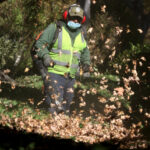 Everyone hates gas-powered leaf blowers. So why is it so hard to ban them?