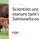 Scientists uncover manure tank’s role in Salmonella outbreak