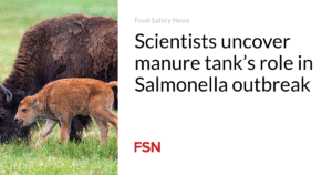 Scientists uncover manure tank’s role in Salmonella outbreak