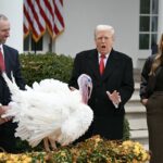 The Reality Behind Trump’s Wild Claims About Turkey Prices