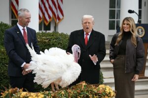 The Reality Behind Trump’s Wild Claims About Turkey Prices