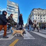 Orbán cabinet: Europe’s largest family support programme to be expanded with a new pillar in 2026