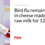 Bird flu remains active in cheese made from raw milk for 120 days
