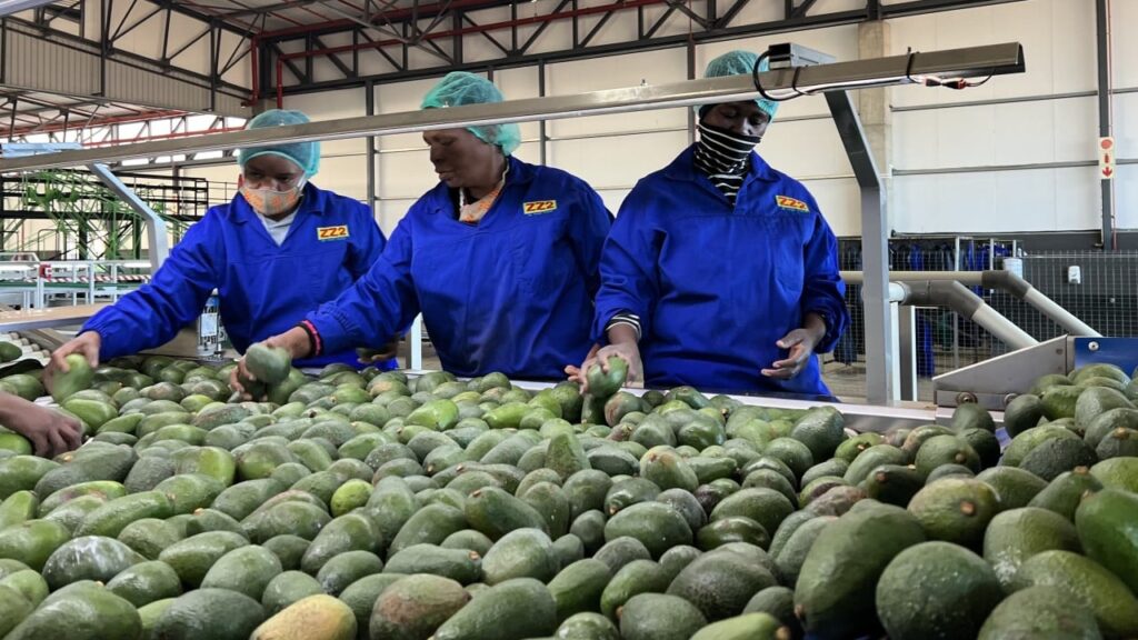 China set to benefit as South Africa looks to diversify away from US