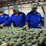 China set to benefit as South Africa looks to diversify away from US