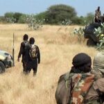 JUST IN: ISWAP abducts teenagers in Borno farming community