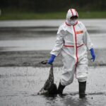 H9N2 Bird Flu Virus Could Pose Human Pandemic Risk, Experts Warn